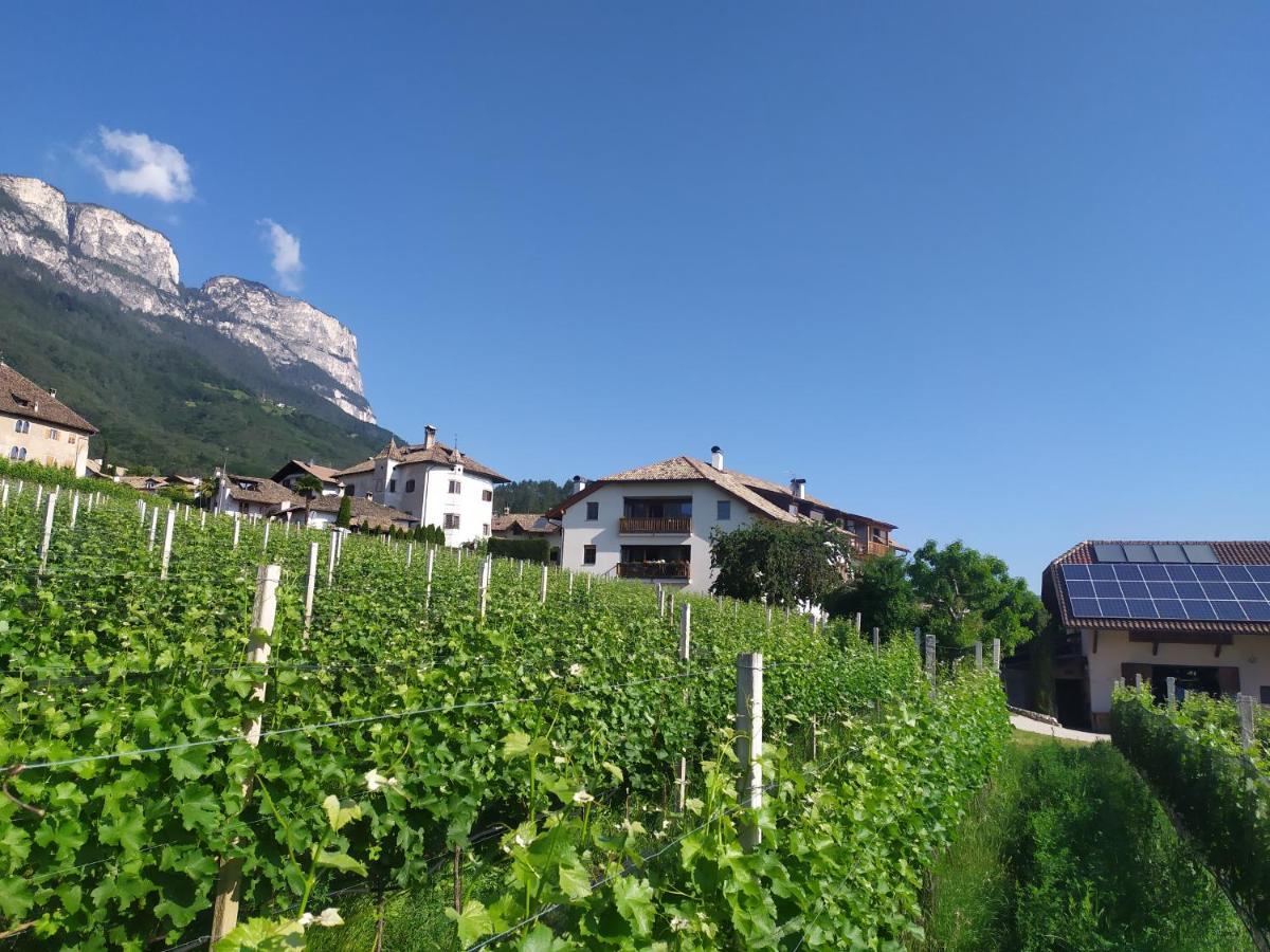 Weingut Lahn Zu Eppan Apartment Appiano Sulla Strada Del Vino Exterior photo