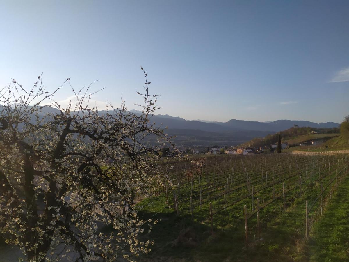 Weingut Lahn Zu Eppan Apartment Appiano Sulla Strada Del Vino Exterior photo