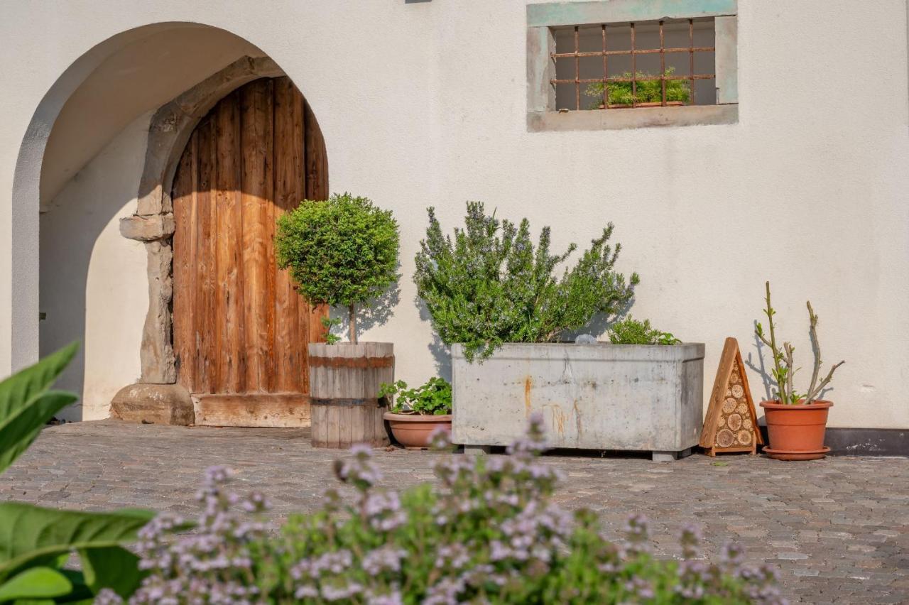 Weingut Lahn Zu Eppan Apartment Appiano Sulla Strada Del Vino Exterior photo