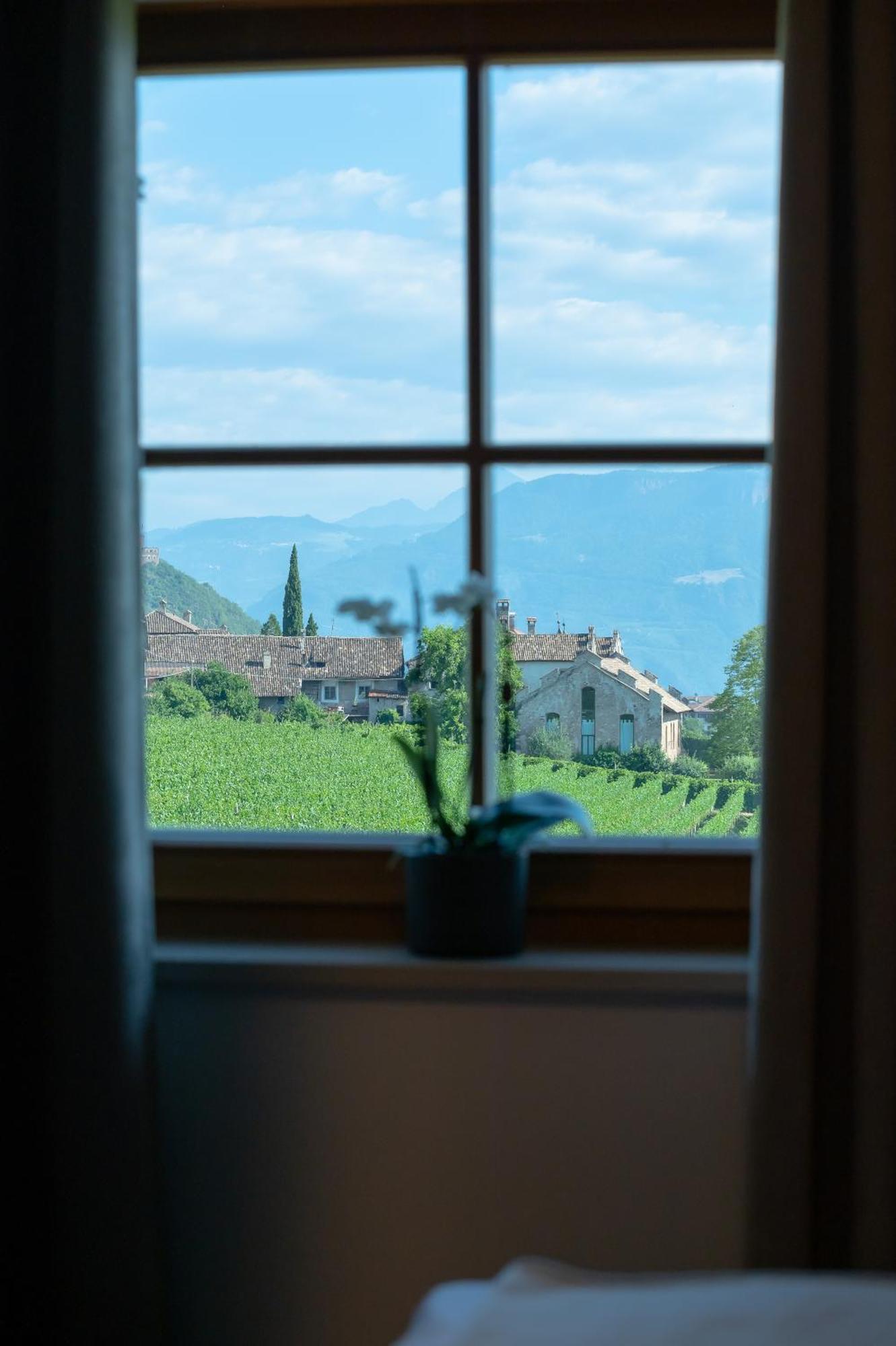 Weingut Lahn Zu Eppan Apartment Appiano Sulla Strada Del Vino Exterior photo